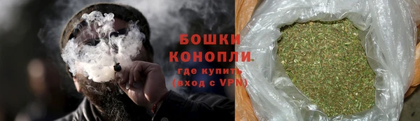 молекула духа Мегион
