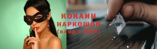 молекула духа Мегион