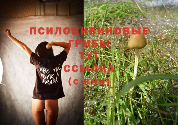 молекула духа Мегион