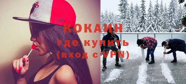 молекула духа Мегион